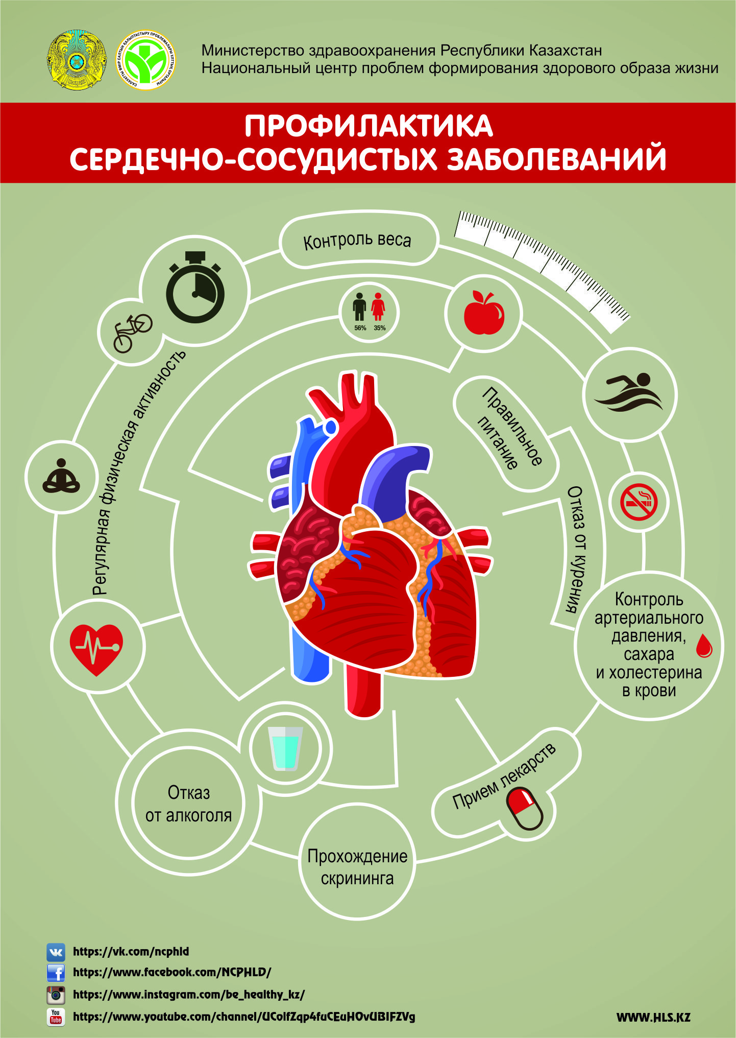 План мероприятий по профилактике заболеваний сердечно сосудистой системы у животных